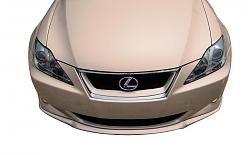 Match color or Black with Carson Tuned Grille-beigemetallic.jpg