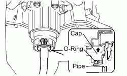 What is this in oil filter element?-128989392.gif