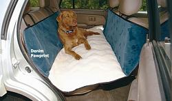 Newb looking at trading BMW for IS350...few quick questions.-pet-hammock.jpg