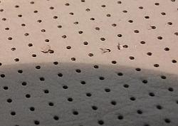 perforated leather seat tearing.-dscf9468aa.jpg