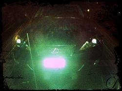 Photo App + Lexus = Beautiful!-alexis2.jpg