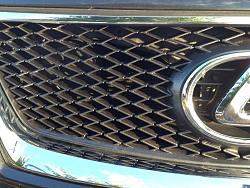 IS-F Style Grille for '06-'08 from Option Racing (ebay)- Part 2, Installed!-ti1.jpg