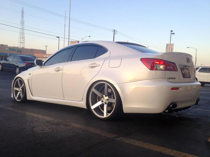 Name:  Vossen-14.jpg
Views: 279
Size:  191.7 KB