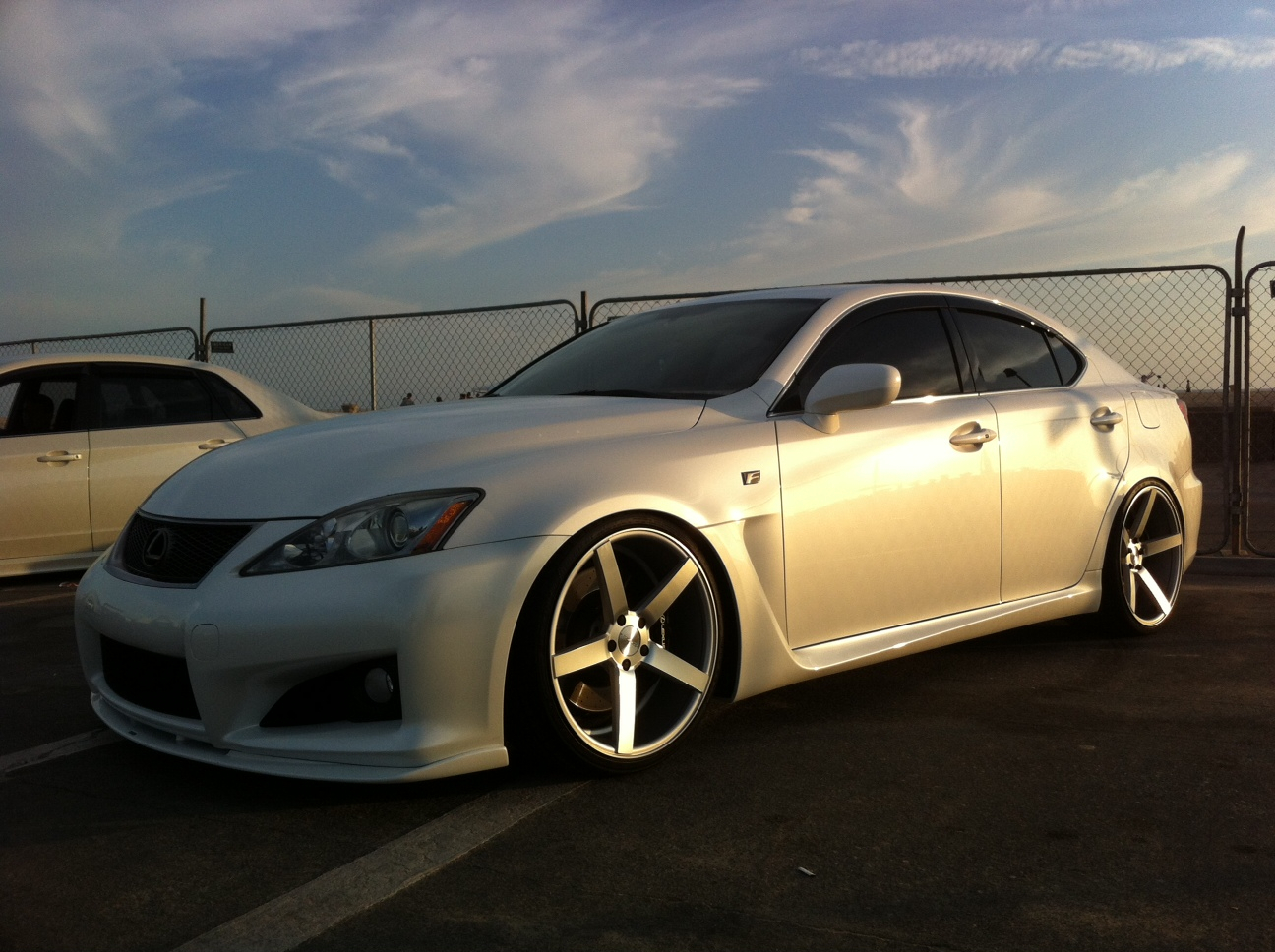 Name:  Vossen-22.jpg
Views: 2132
Size:  824.8 KB