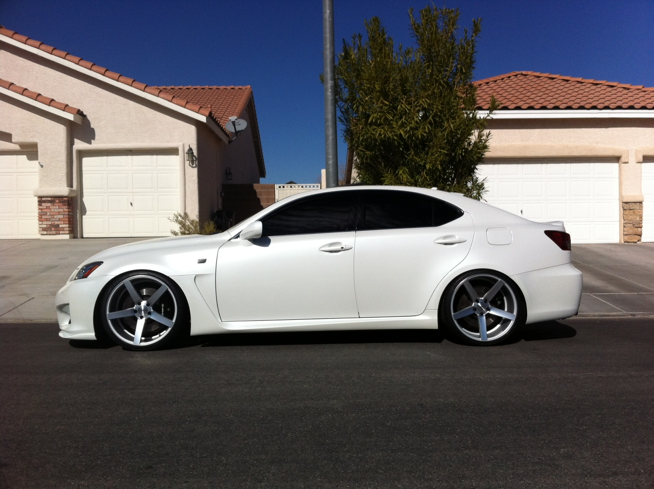 Name:  Vossen-4.jpg
Views: 174
Size:  910.9 KB