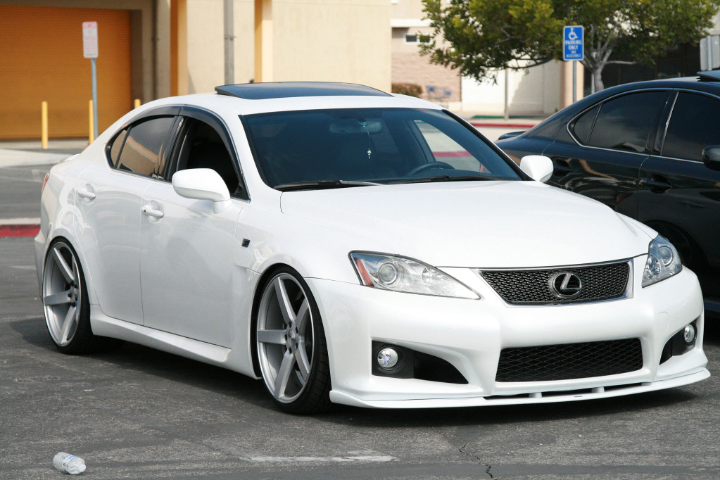 Name:  Vossen-9.jpg
Views: 24
Size:  537.8 KB