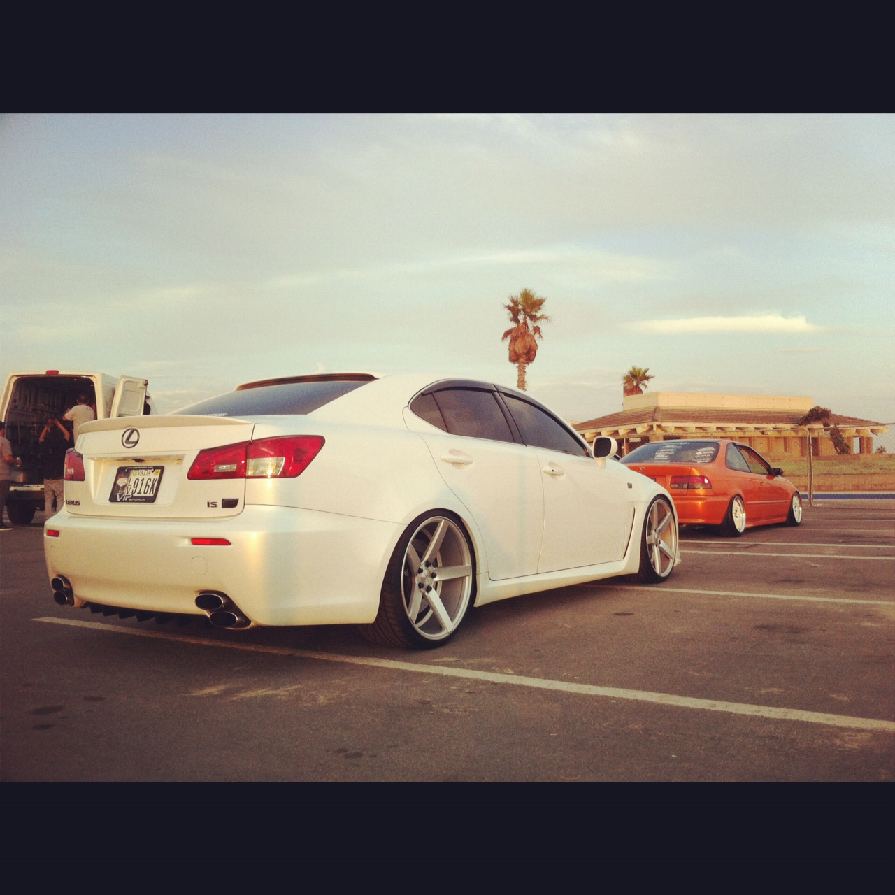 Name:  Vossen-69.jpg
Views: 36
Size:  909.5 KB