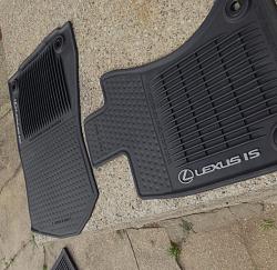 All-Weather Floor Mats???-all-weather-floor-mats.jpg