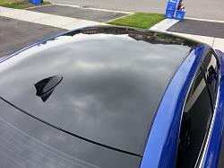 Glossy Vinyl Roof-is_roof1.jpg