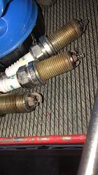 spark plug replacement cost