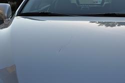 Hood damaged on high way-is350-damage-pics-003-800x531-.jpg