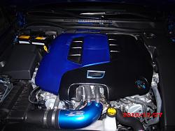 pics request of painted engine cover?-gedc0374.jpg