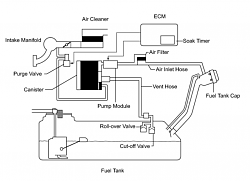 Fuel tank pressure noise?-2ur-gse-evap-emissions-diagram.png