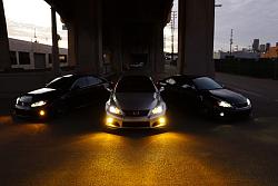 Yellow Fog Lights-dsc02858.jpg