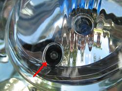 DRL Bulbs-img_0053-cl.jpg