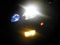 DRL Bulbs-img_0062-cl.jpg