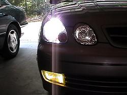 I Love Yellow Fogs!-yellow-fogs-1.jpg