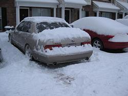 St. Louis Snow no work today! Snow Pic-win5.jpg