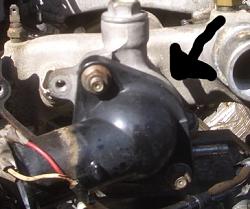 Found where my coolant is leaking to but need more help-hose.jpg