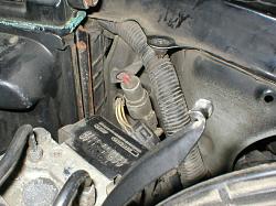 My Cold Air Intake: More Pictures-5.jpg