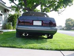 Smoked Tailights-back.jpg