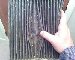 CABIN/AC &amp; Seat filter PICS-filthy-cabin-ac-filter-2.jpg