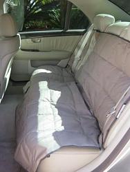 LS Interior Dog Protection-img_0306-2-.jpg