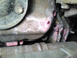 2002 LX coolant leak-image.jpg