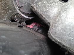 2002 LX coolant leak-image.jpg