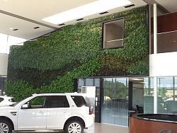 Lexus of Omaha Brand New Building-living-wall.jpg