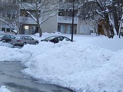 East Coast SNOWMAGEDON 2010!!!-001.jpg