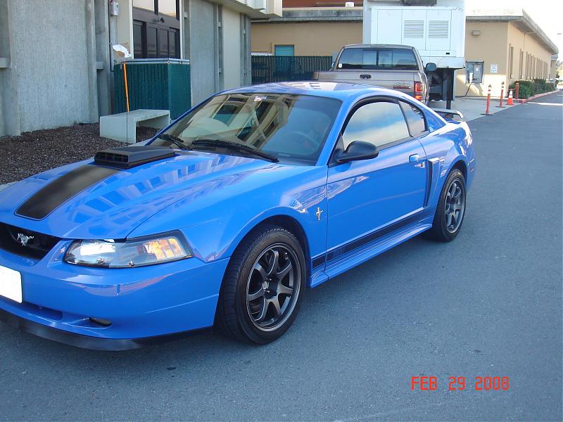 2003 Ford mach 1 mustang for sale #4