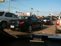 The spotted thread in NTX-img_0476.jpg