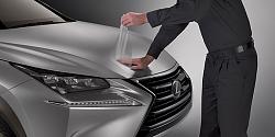 is paint film protection worth it for hood and bumper-bnxppf.jpg
