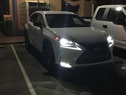 Welcome to Club Lexus!  NX owner roll call &amp; member introduction thread, POST HERE!-img_0019.jpg