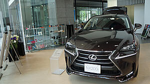 Lexus NX Real World Pictures and Videos Thread-fen89az.jpg