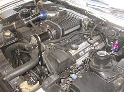 What's Under Your Hood?-img_4401_1_1.jpg