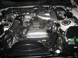 Show off your engine bay!!!-img_2345.jpg