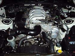 Show off your engine bay!!!-lilly-calvin-lex-373.jpg