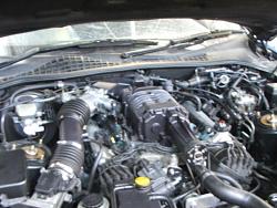 Show off your engine bay!!!-fitted-up.jpg