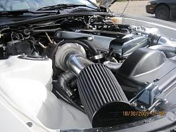 wire tuck engine bay??-picture-013.jpg