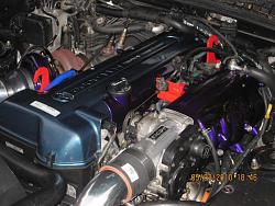 What's Under Your Hood?-picture-166.jpg