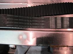 NOS Timing belt ok?-timing-belt.jpg