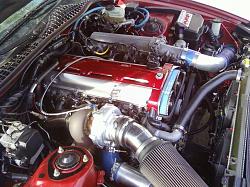 What's Under Your Hood?-two.jpg