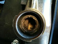 Blown head gasket? 2jz-ge vvti-photo-5.jpg