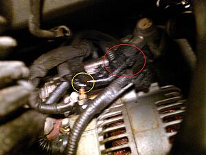 Power Steering Leak-ypk89a8.jpg