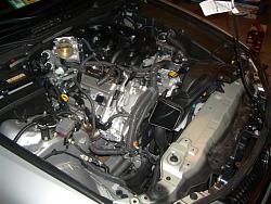 LMS IS350 Intake installed (pics &amp; vids)-7.jpg