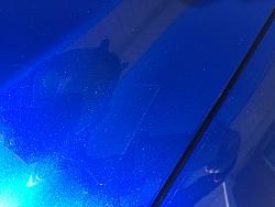 Paint Protection Film (PPF) and EcoShield Paint Protection-img_1563.jpg