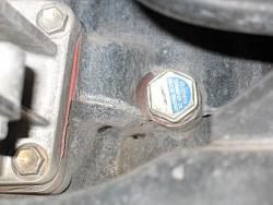 Can't get front diff plugs out!-transfercasefill1b.jpg