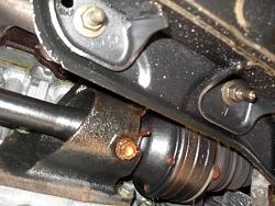 Excessive Oil Under Engine-pop-s-car-oil-001-1824-x-1368-.jpg